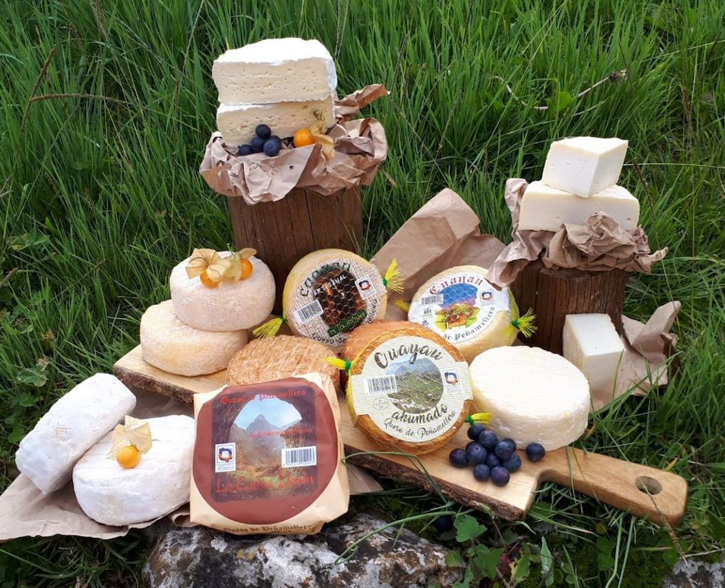 Lote de quesos ganadores Peñamellera (4 quesos y maridaje) (1,2kg)