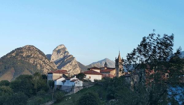 Lote de quesos ganadores Peñamellera (4 quesos y maridaje) (1,2kg)