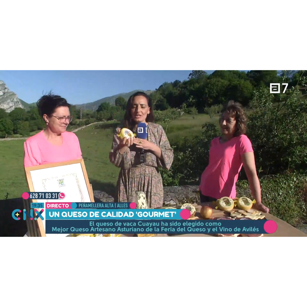 Lote de quesos ganadores Peñamellera (4 quesos y maridaje) (1,2kg)