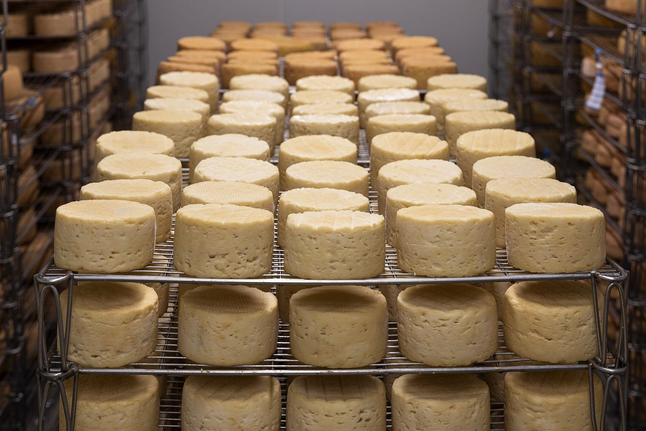 El queso más antiguo de España se elabora en Asturias, ¿Qué lo hace único? - El Almacen del Trasgu