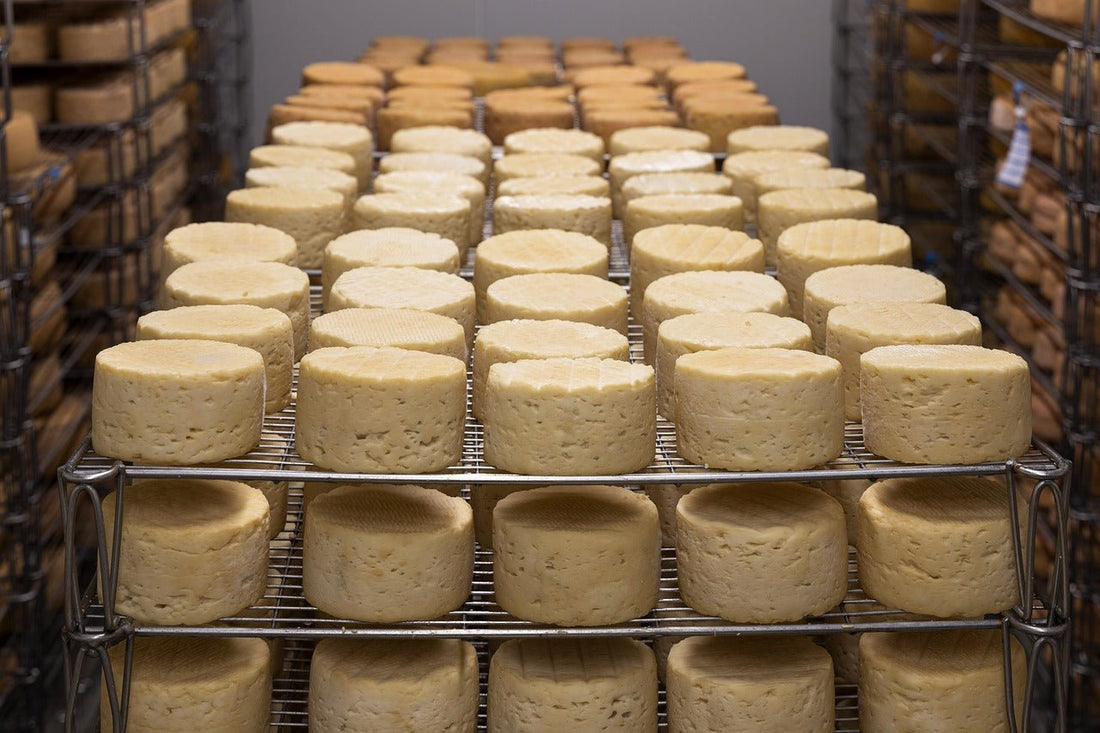 El queso más antiguo de España se elabora en Asturias, ¿Qué lo hace único? - El Almacen del Trasgu