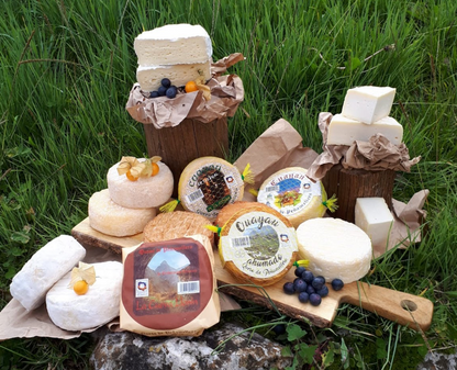 Lote de quesos ganadores Peñamellera (4 quesos y maridaje) (1,2kg)